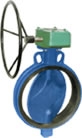 Cast Iron Gear Box Mounted
