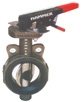 Cast Iron Butterfly Valve